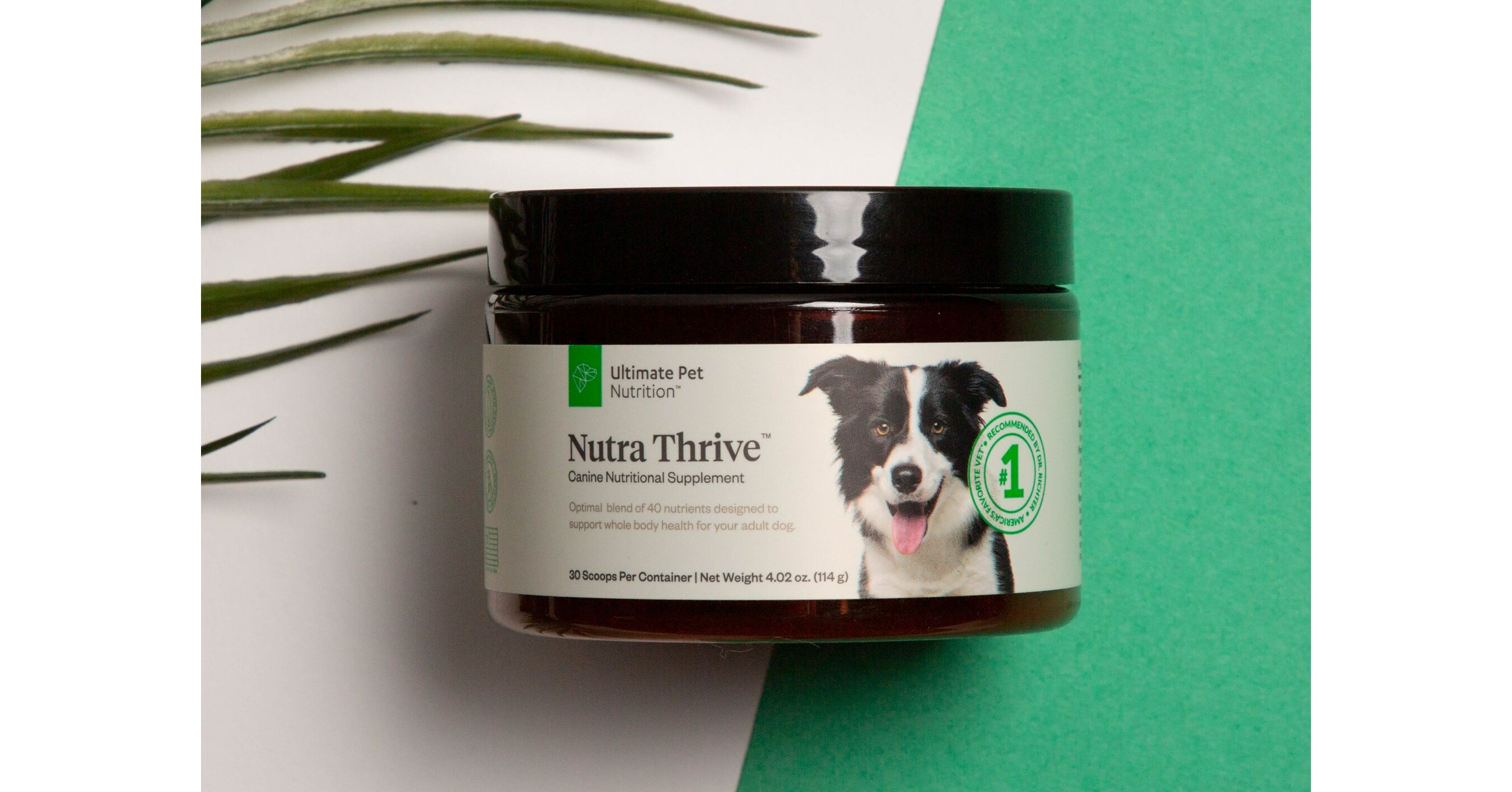 Celebrate National Pet Month with Dr. Gary Richter's Ultimate Pet