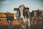California dairy sector on track to reach state's methane goal and be climate neutral by 2030