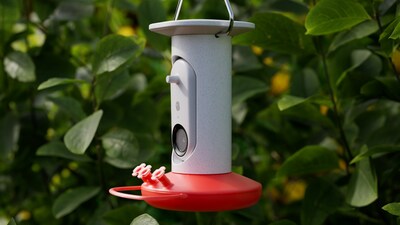 Bird Buddy Smart Hummingbird Feeder