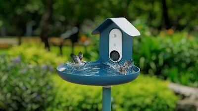 Bird Buddy Smart Bird Bath