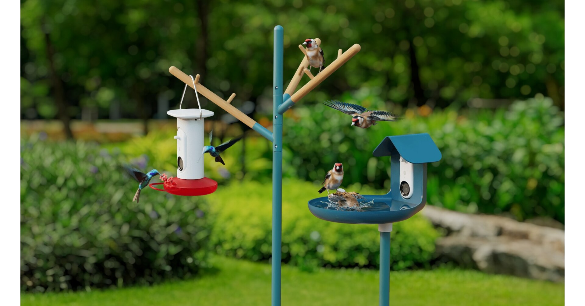 Bird Buddy AI Smart Bird Bath captures candid moments of birds