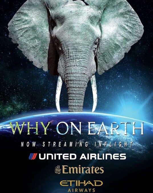 Why on Earth, the Powerful Award-Winning Wildlife Documentary Featuring Clint Eastwood, is Now Available in the UK and on Major Airlines Including Emirates, United & Etihad - Vimarsana News