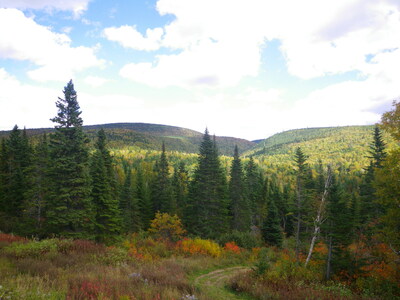 Photo : Conservation de la nature Canada (Groupe CNW/Parcs Canada)