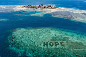 SHEBA® Hope Advocate Program: Join the World's Largest Coral Restoration Project