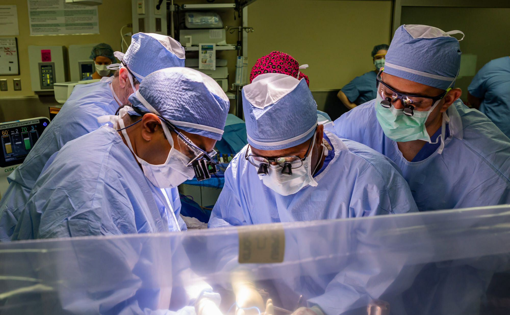 Unable to view the image, Please provide a valid URL.