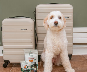 Traveling With Your Dog or Cat? Pet Releaf Shares Insights as Pet Owners Prepare For Summer