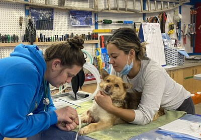 Veterinarians Without Borders, one of 9 grant recipients, will work to bring veterinary services to Indigenous communities with support from PetSmart Charities of Canada. (CNW Group/PetSmart Charities of Canada)