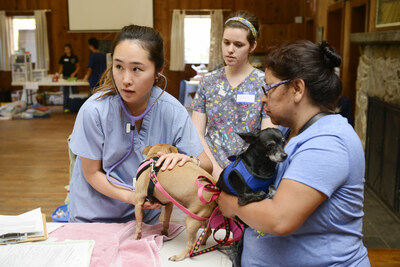 Three UC Davis personnel associated with the Knights Landing One Health Center provide complimentary veterinary care to a community member's dogs. Through the new PetSmart Charities Endowed Chair in Accessible Veterinary Care, models for providing care where it is needed most?such as an onsite clinic like this in the rural, low-income, farming community of Knights Landing, California?can be advanced on a national level. Photo credit: UC Davis.