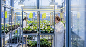 Südschweden löst globale Herausforderungen im Lebensmittelbereich