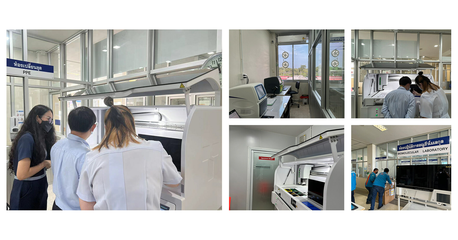 Tianlong ajuda hospitais na Tail&acirc;ndia a detectar hepatite precocemente com solu&ccedil;&atilde;o de diagn&oacute;stico molecular