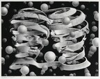 Major M.C. Escher Exhibition Opens for the Summer at Fenimore Art Museum in Cooperstown, New York