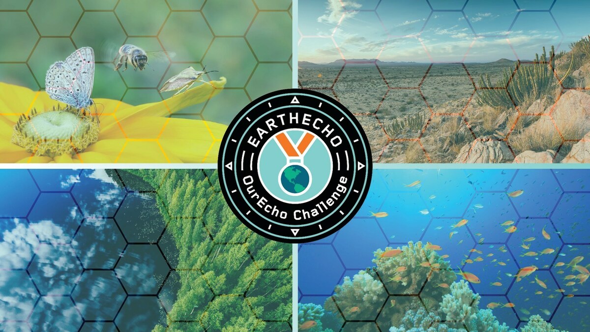 PHILIPPE COUSTEAU JR'S EARTHECHO INTERNATIONAL AWARDS GRANTS TO YOUTH TEAMS FOR THEIR WORK TO PROTECT NATIVE WILDLIFE AND HABITATS - Vimarsana News