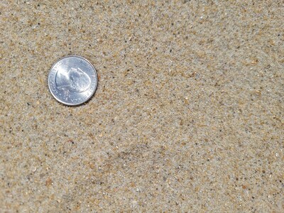 With a coin and a phone beachgoers can help collect data for an important coastal science project.