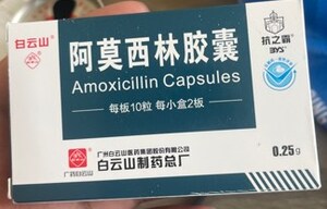 Avis public - Des capsules d'amoxicilline non autorisées ont été saisies dans un supermarché Green Fresh à Ottawa, en Ontario; elles pourraient présenter de graves risques pour la santé