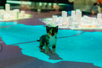 Unable to view the image, Please provide a valid URL.