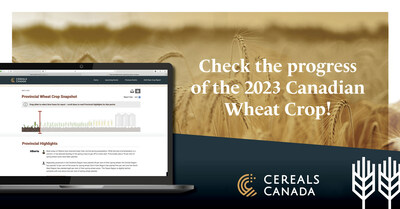 Visite el Informe de progreso de la temporada de cultivos en cerealscanada.ca y consulte con frecuencia para obtener actualizaciones valiosas a medida que se desarrolla la campaña canadiense de trigo de 2023. (CNW Group/Cereals Canada)
