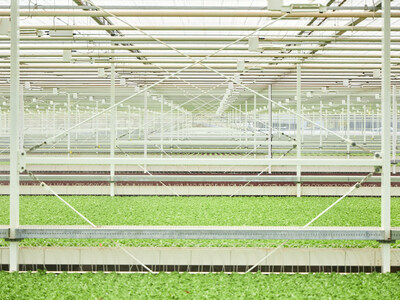 Little Leaf Farms is growing with the addition of new greenhouses in McAdoo, PA. Photo Credit: Brian Riedel.