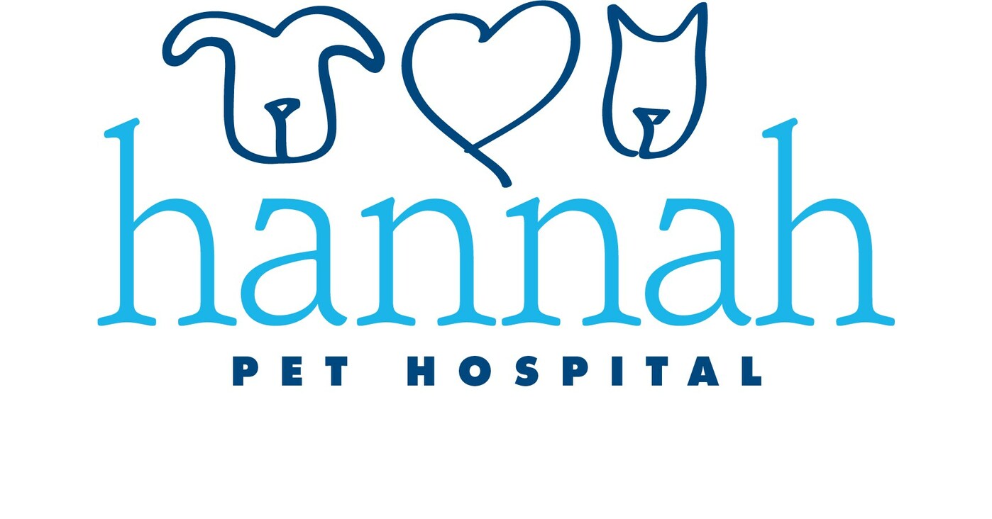 HANNAH PET HOSPITAL ANNOUNCES APPOINTMENT OF DR. JAIME PICKETT AS CHIEF