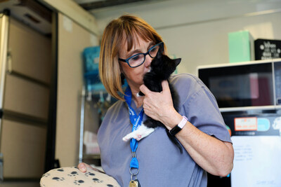 ASPCA medical staff cares for its 10,000th foster kitten, Delta, in Los Angeles County.