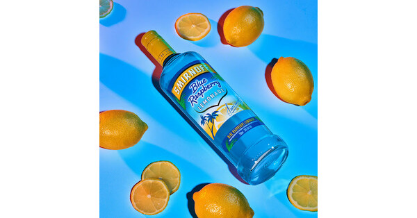 Blue Raspberry Vodka Lemonade Cocktail - Peyton's Momma™