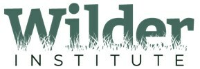 The Wilder Institute Logo (CNW Group/The Wilder Institute)