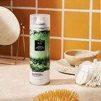 Chamberlain Coffee Partners with IGK to Launch a Limited-Edition Matcha Dry Shampoo