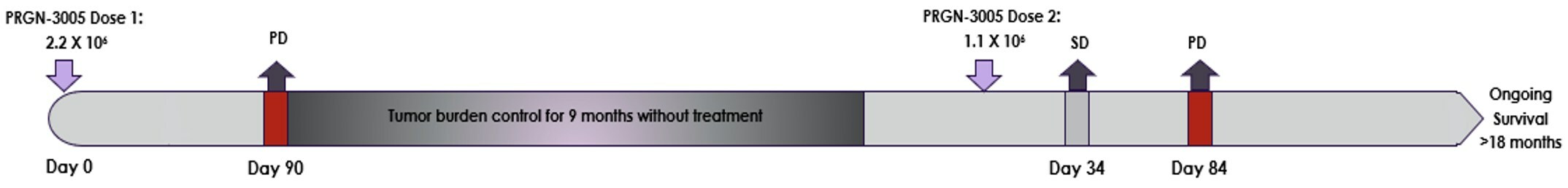 Figure 3: Repeat Dosing and Tumor Response for Best Responder