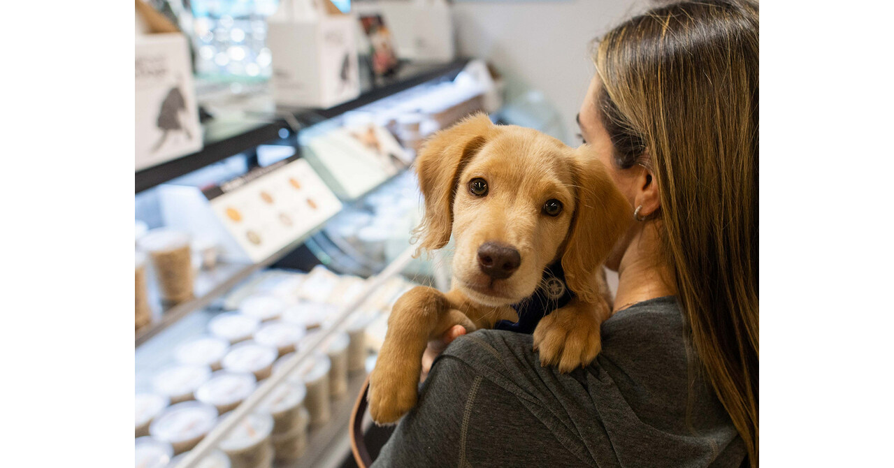 JustFoodForDogs InStore Kitchen Now Open at Petco's Union Square Location