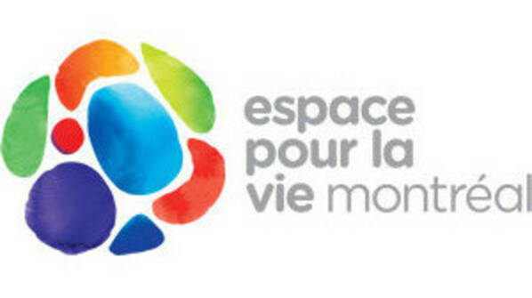 FLAVOURS AND MUSIC AT THE JARDIN BOTANIQUE - Vimarsana News