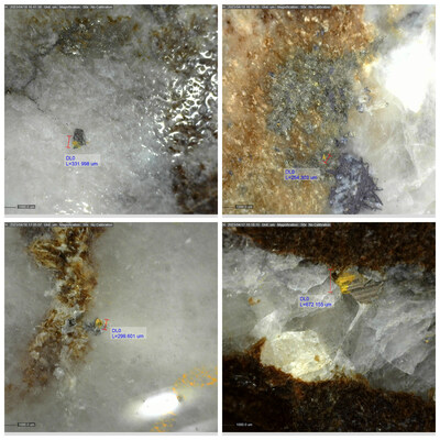 Figure 4: Examples of Visible Gold Observed in DDRCCC-23-042 (CNW Group/Sitka Gold Corp.)