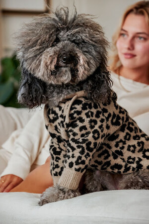 Where Fashion Meets Fur: Introducing FURB, A New Fashion House for Dogs and the Owners Who Spoil Them