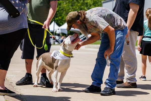 Adoptable pit bull greets potential new dog dad at Bully Max's Adopt-a-Bully event on Saturday, May 27. Adoptable pit bull greets potential new dog dad at Bully Max's Adopt-a-Bully event on Saturday, May 27.