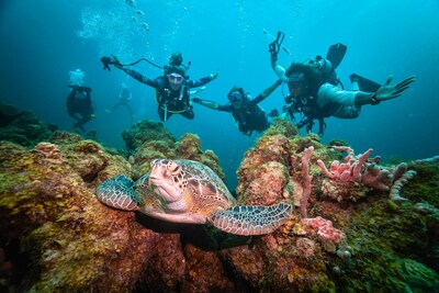 Sandals Resorts International helps protect our oceans with donations and initiatives such as turtle conservation, coral restoration, lionfish culling, beach cleanups and more.