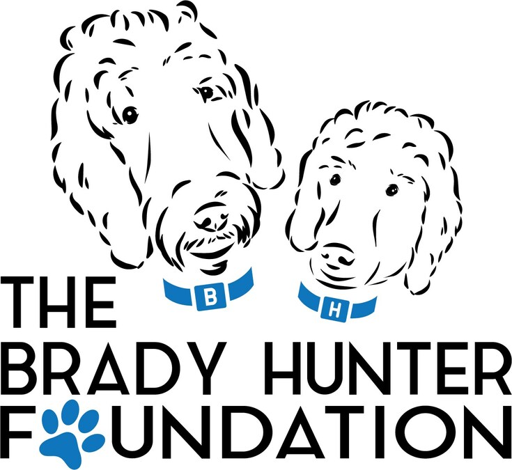 The Brady Hunter Foundation Joins Forces with Global Strays for Spay & Neuter Program in Bogotá, Colombia - Vimarsana News