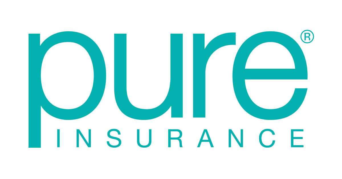 Martin Leitch Named Chief Executive Officer of PURE Group of Insurance Companies - Vimarsana News