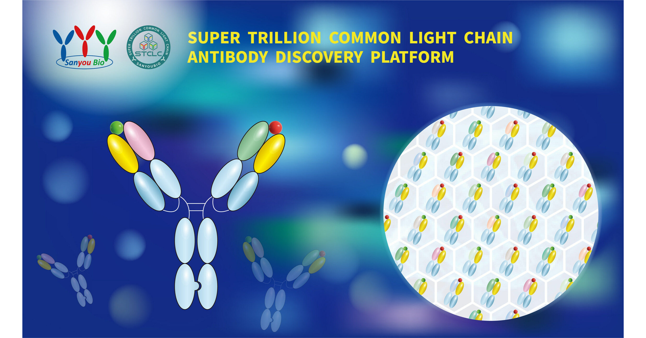 Sanyou Milestones | Super Trillion Common Light Chain Antibody Discovery Platform Launched