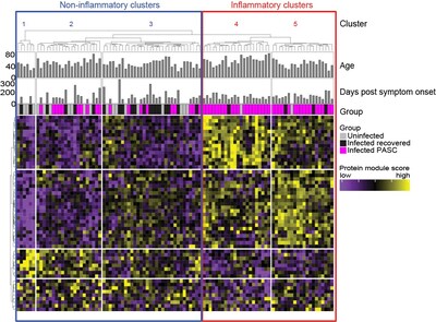 Circulating serum proteins 60 days after onset of SARS-CoV-2 infectious symptoms identify a sub-category of long-COVID with persistent inflammation. This signature helps clarify biological diversity in long-COVID highlighting the need for targeted treatment strategies and shows diagnostic utility for differentiating inflammatory and non-inflammatory long-COVID.