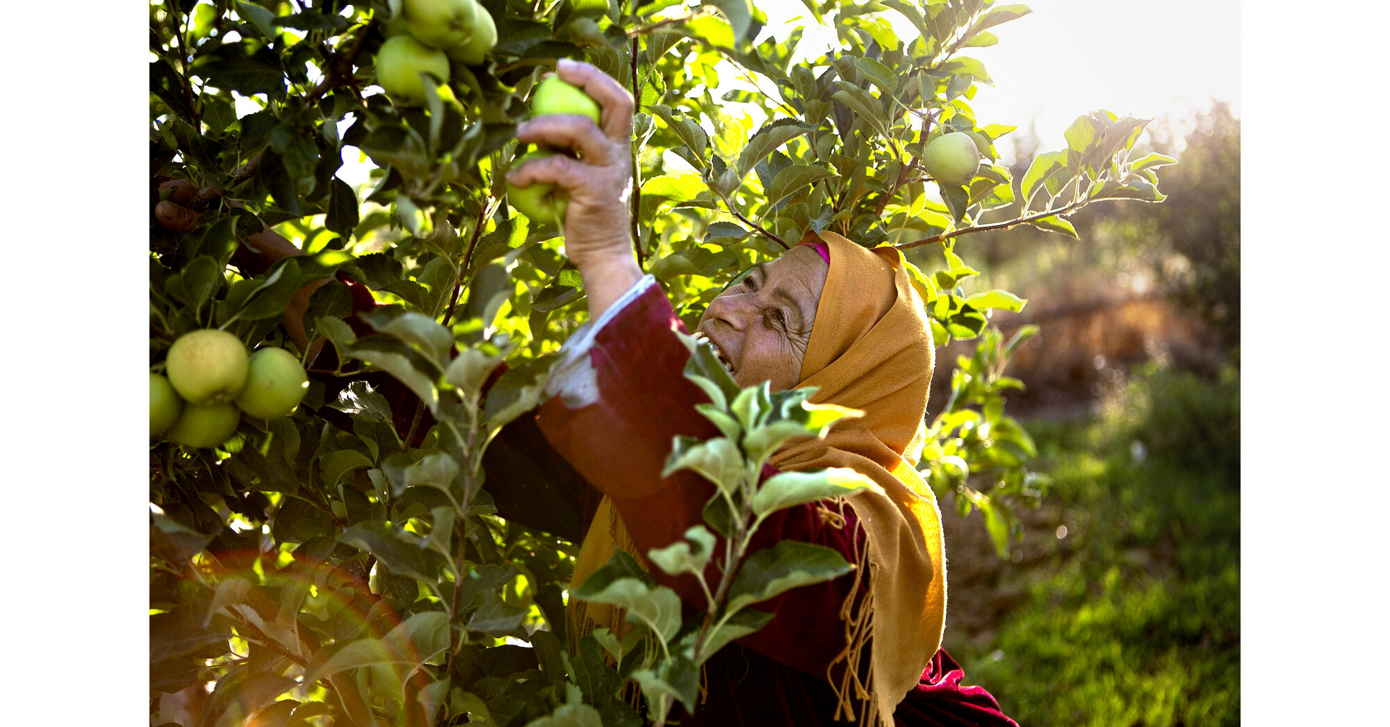 IFAD launches A New Day film, highlighting transformative power of ...