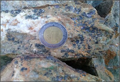 Figure 3. Bornite(?)-chalcopyrite primary mineralization associated with stringer(?)-type footwall carbonate veining in volcanics; sample from between highway and intrusive complex. (CNW Group/Vortex Metals)