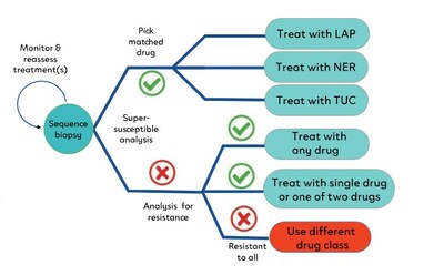 The example shows potential treatment options for cancer with Her2 variants. The decision tree is based on Her2 variants for susceptibility and resistance to three drugs: LAP, Tykerb (laptinab); NER, Nerlynx (neratinib); TUC, Tukysa (tucatinib).