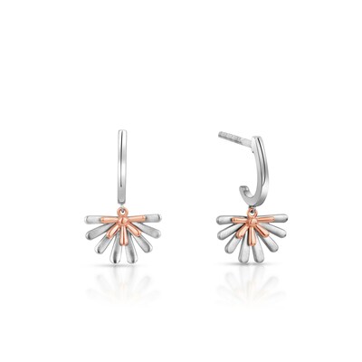 Evara platinum sale earrings