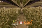 Cantourage UK, Leading Medical Cannabis Company Forms Partnership with Premier Craft Cannabis Cultivator Plantations Cérès, Pioneering Access to Premium Medical Cannabis Flowers for UK Patients