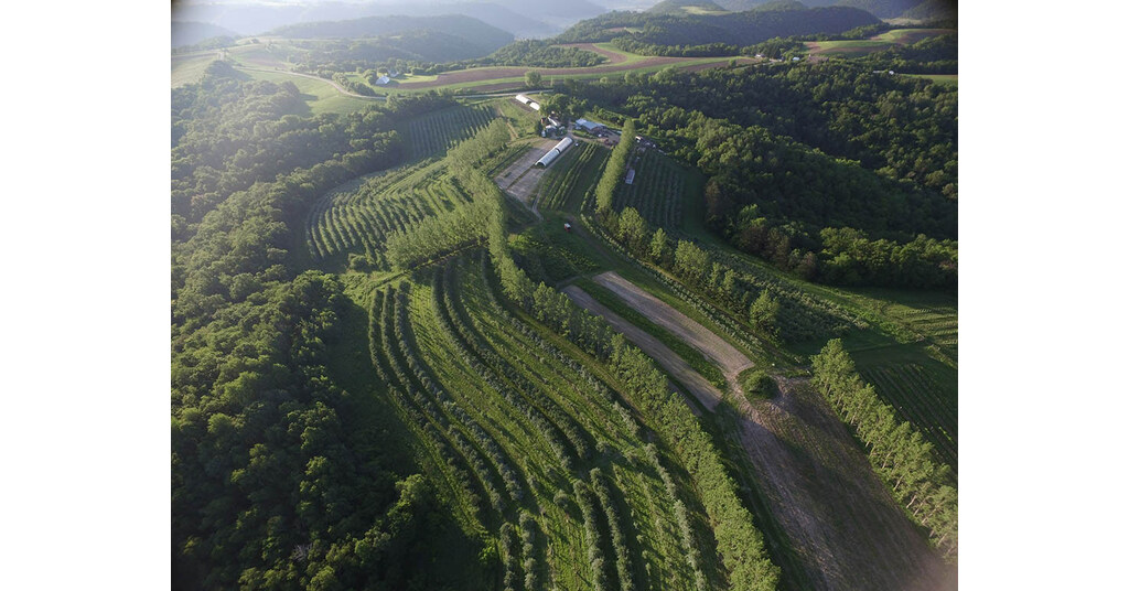 The Savanna Institute launches Tree Crop Improvement Program to boost