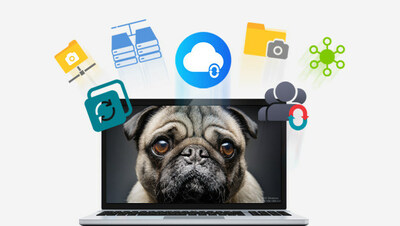 TerraMaster Centralized Backup and Duple Backup