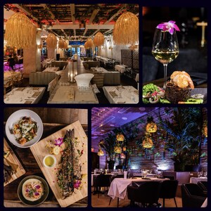 Show Hospitality Redefines Miami's Hospitality Scene with Unique Dining and Entertainment Offerings