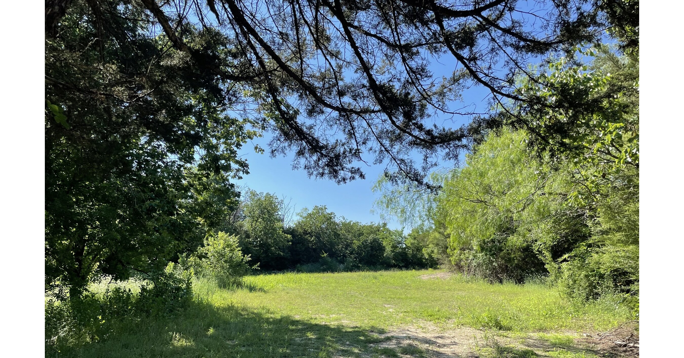 Dallas City Council Votes to Acquire Big Cedar Wilderness in Southern Dallas - Vimarsana News