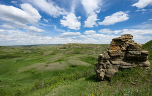 Conservation leaders join forces on largest private grassland project in Canadian history