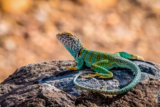 Captivating Images Showcase the Wonder of National Parks
