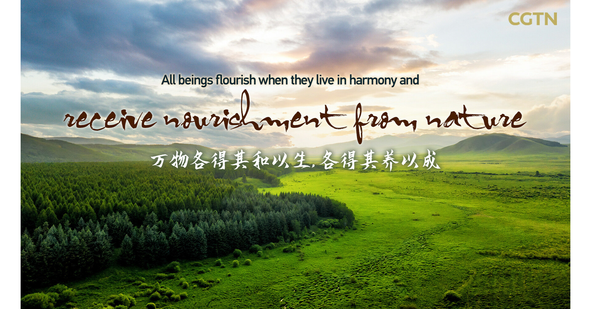 Saihanba, ein Beispiel f&uuml;r Harmonie zwischen Mensch und Natur