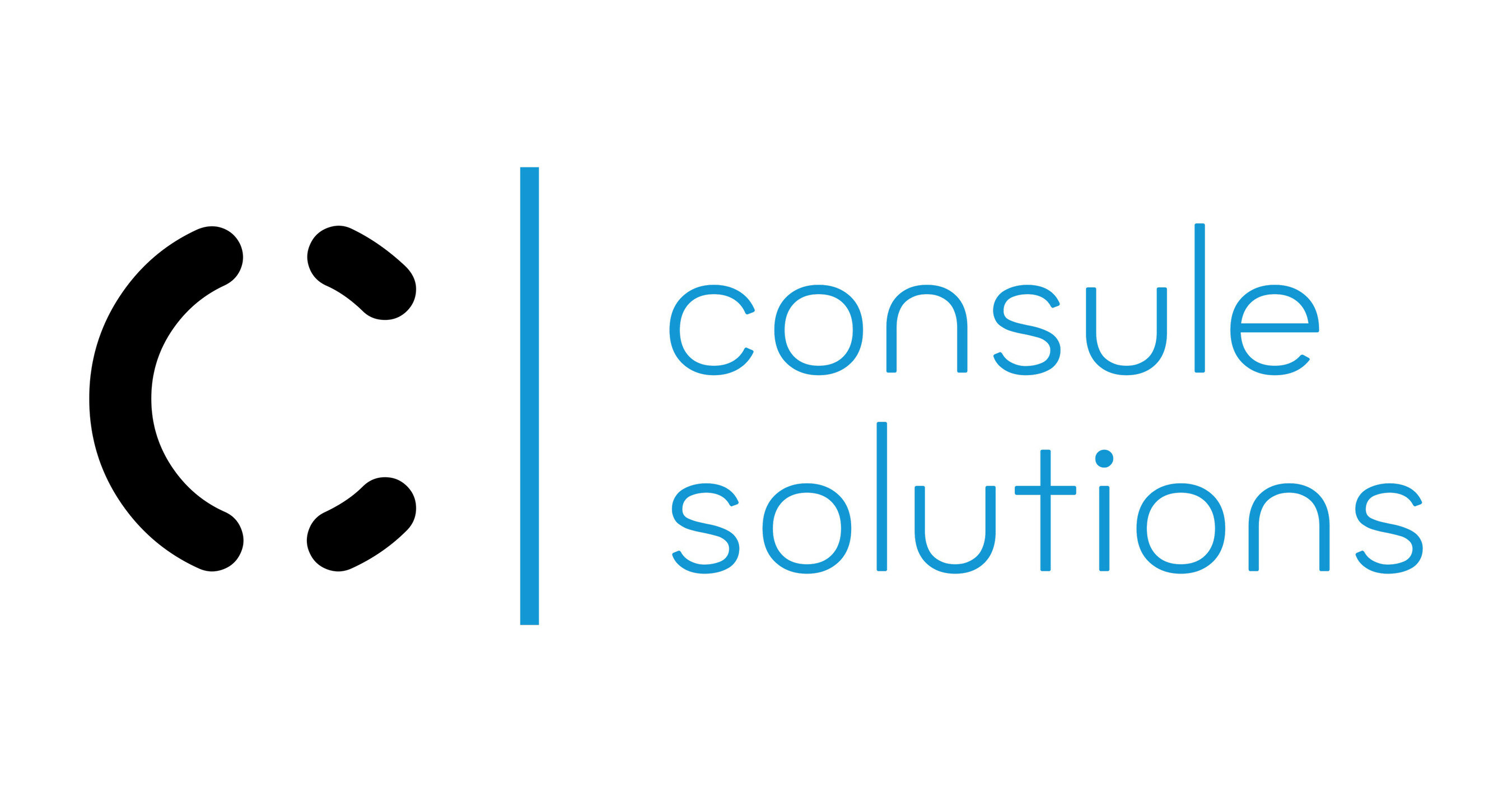 Consule Solutions Joins NetSuite Alliance Partner Program